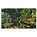 Uncharted: Golden Abyss, PS Vita, PlayStation Vita, Azione / Avventura, T (Teen) , PS Vita - Foto miniatura 1